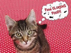 Red Heart - Tabby Cat - Glorious Food! Große Napfunterlage