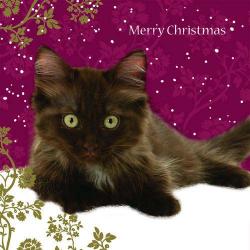 Weihnachtskarte - Christmas Kitten - Merry Christmas