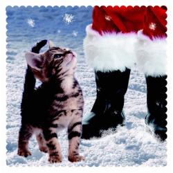 Weihnachtskarte - Kitten - Looking up at Santa