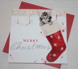 Weihnachtskarte - Kittens Stocking Sparkle - Merry Christmas