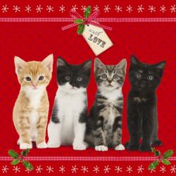Weihnachtskarte - Kittens With Love - Kätzchen