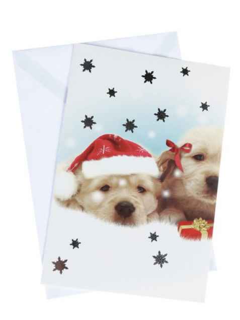 Weihnachtskarte mit Hundemotiv:"Zwei  Golden Retriever"
