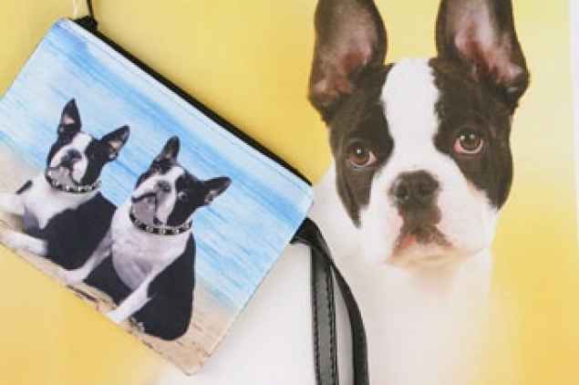 Täschchen mit Hundemotiv:«Boston Terrier»